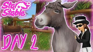 LOST DONKEY LOCATIONS  Day 2  Star Stable Online [upl. by Khanna]