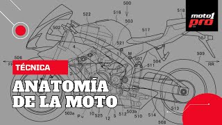 Técnica Anatomía de la moto [upl. by London470]