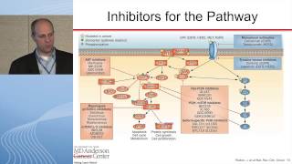 Targeting the PI3KAktmTOR Pathway [upl. by Landon]