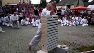 Karate Skill 14 Bricks [upl. by Martres]