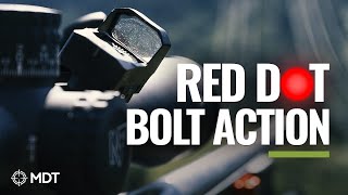 Why And How To Use A Red Dot Sight On A Bolt Action Rifle [upl. by Echikson]