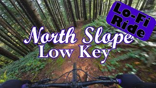 Low Key North Slope at Capitol State Forest [upl. by Adeys]