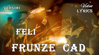 Feli  Frunze cad 🍂 Versuri  Lyrics [upl. by Johnette]