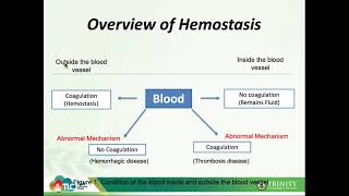 Hematology 21Introduction to Hemostasis [upl. by Eloken]