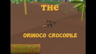 The orinoco crocodile ep1 Amazon Ascension [upl. by De Witt]