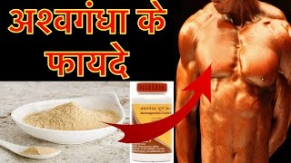 अश्वगंधा के 10 ज़बरदस्त फायदे  Ashwagandha benefits in hindi Indian Ginseng winter cherry [upl. by Cost42]