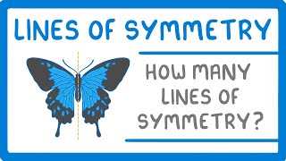 GCSE Maths  Lines of Symmetry 98 [upl. by Doggett520]