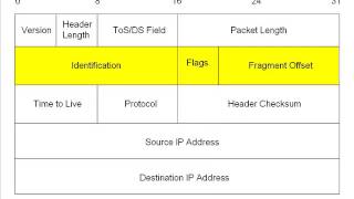 2 The IPv4 Packet [upl. by Wendall327]