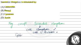 Internodal elongation is stimulated by [upl. by Fleming747]