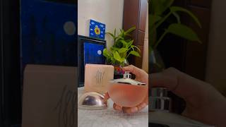 Cerruti 1881 perfume review 1881 cerruti fragnace unboxing [upl. by Georgeta]