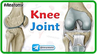 Knee Joint Anatomy Animation  Bones Ligaments Menisci Innervation Blood supply and Movements [upl. by Johan757]