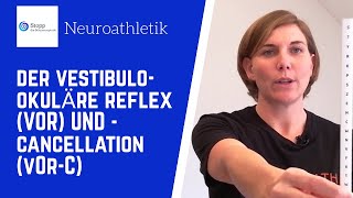 Neuroathletik  Training des vestibulookulärer Reflex und Cancellation Gleichgewichtssystems [upl. by Assener]