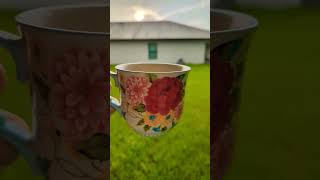 immokalee florida nonstoprain bear summer morning coffee [upl. by Ik66]