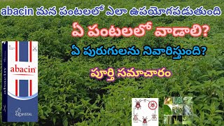 Abacin insecticide in telugu  crystal abacin insecticide  Abamectin  abacin mirchi  abacin dose [upl. by Sieracki]