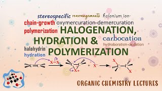 Halogenation Hydration amp Polymerization │ Alkenes amp Cycloalkenes │ Organic Chemistry [upl. by Edalb112]