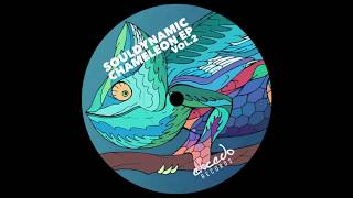 Souldynamic  Akinesia Chameleon EP Vol2  Excedo Records [upl. by Oderfodog]