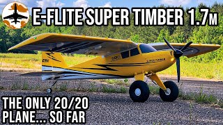 First Look NEW Eflite Super Timber 17m [upl. by Ahsikahs]