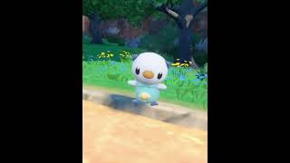 Evolve Oshawott to Samurott Evolutions Animation  Pokemon Scarlet amp Violet [upl. by Filbert692]