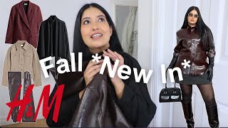 HampM’s Fall 2024 Collection Is Unbelievably Good Tryon Haul [upl. by Granniah]