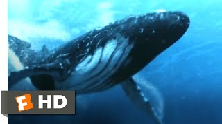 5Headed Shark Attack 2017  Humpback Whale vs 4Headed Shark Scene 310  Movieclips [upl. by Errised]