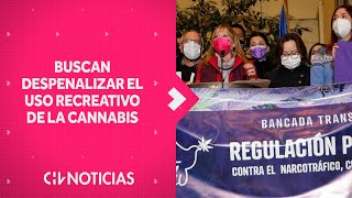 Diputados crean bancada por el uso recreativo de la cannabis quotRegulación por la Pazquot [upl. by Aleac]