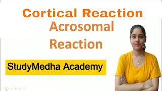 Cortical Reaction  Acrosomal Reaction  byHarSimran  StudyMedha Academy [upl. by Edmanda]