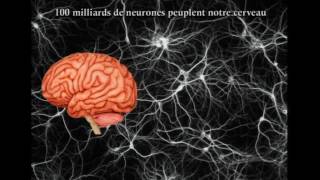 Le cerveau qui apprend [upl. by Doane]