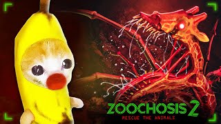 Banana Cats in Zoochosis 2 Rescue The Animals  Zoochosis Animation 🐱 Banana Cat Compilation 😿 [upl. by Romeyn]