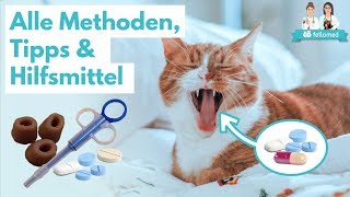 Katze Tablette geben Alle Methoden Tipps Tricks und Hilfsmittel [upl. by Cutcheon679]