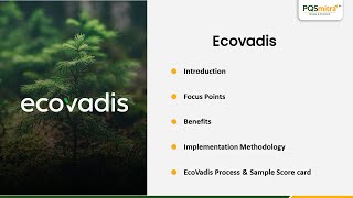 Ecovadis Assessment Business Rating For Buyers and Suppliers [upl. by Arolf]