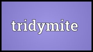 Tridymite Meaning [upl. by Eitnom547]