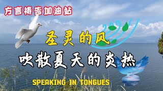 圣灵的风吹散夏天的炎热🔥🔥🔥方言祷告加油站🔥方言祷告说方言SPEAKING IN TONGUES烈火方言 [upl. by Nosdrahcir368]