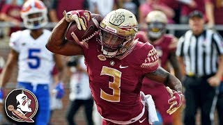 FSU RB Cam Akers Top Plays 2018 [upl. by Cadmann]