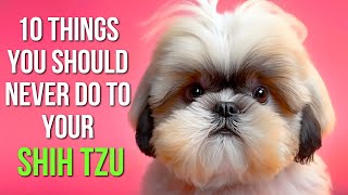 10 Mistakes Every Shih Tzu Owner SHOULD AVOID [upl. by Dwinnell]