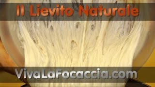 Ricetta per Fare il Lievito Naturale Lievito Madre LiCoLi o Pasta Madre in Casa [upl. by Iva815]