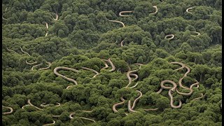 The Awesomeness of Brazils Snake Island The Mystery of the Island and the Ban on Human Arrivals [upl. by Klarika]