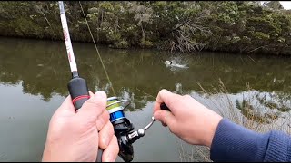 Fishing For Carp After Rain [upl. by Marceau]