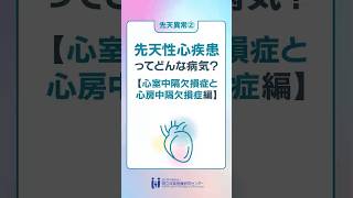 先天異常「先天性心疾患ってどんな病気？心室中隔欠損症と心房中隔中隔欠損症 編」 Shorts [upl. by Dnomsad542]