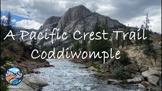 A Pacific Crest Trail Coddiwomple Documentary [upl. by Yajet]