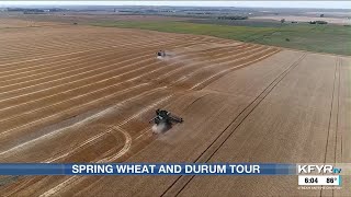 Wheat Quality Council holds annual spring wheat and durum tour with good outlooks [upl. by Nnel]