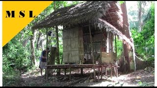 Dschungel Bushcraft Hütte Bauen  Jungle Bushcraft Building a Hut 3 [upl. by Enomaj]