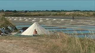 Le Pouliguen réhabilite ses salines [upl. by Meluhs664]