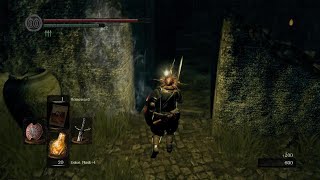 Got clipped through a wall  Dark Souls Remastered [upl. by Tait]