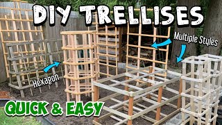 How to Make a Trellis Multiple Options and Skill Levels Full Tutorials amp Quick Walkthroughs [upl. by Elag]