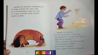 Un Perro ConfundidoAudiolibro con IlustracionesChocolo Cuenta Cuentos [upl. by Retsim]