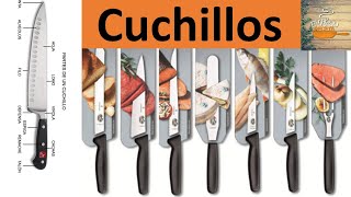 Tipos de cuchillos en la cocina  Usos de los cuchillos de cocina  Gastronomía [upl. by Eeb]