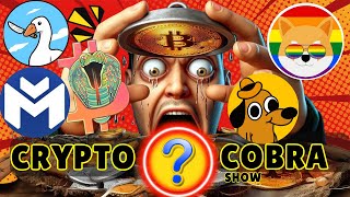 💥Crypto Cobra Show Explosive Market Trends amp Hot Coins Revealed🚀Gays Inu🌈  🔥Fire Token [upl. by Petr65]