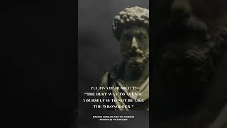 Marcus Aurelius Quotes Marcus Aurelius and the Guiding Principles of Stoicism shortsvideo [upl. by Einahc]