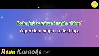 Biesiada śląska  Turawskie jezioro karaoke  RemiKaraokecom [upl. by Mintz223]