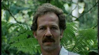 Werner Herzog on Nature [upl. by Catharine967]